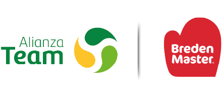 Logo Alianza Team